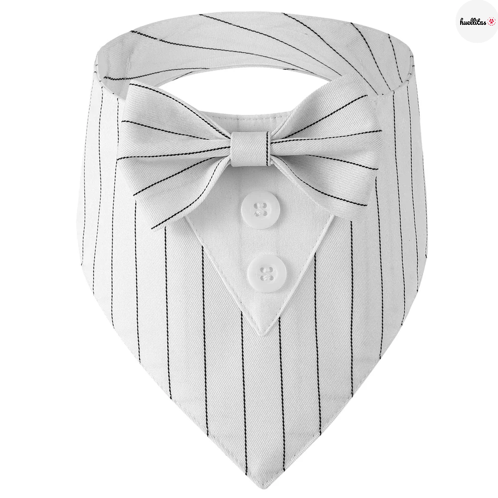 Bufanda triangular con pajarita accesorios de aseo