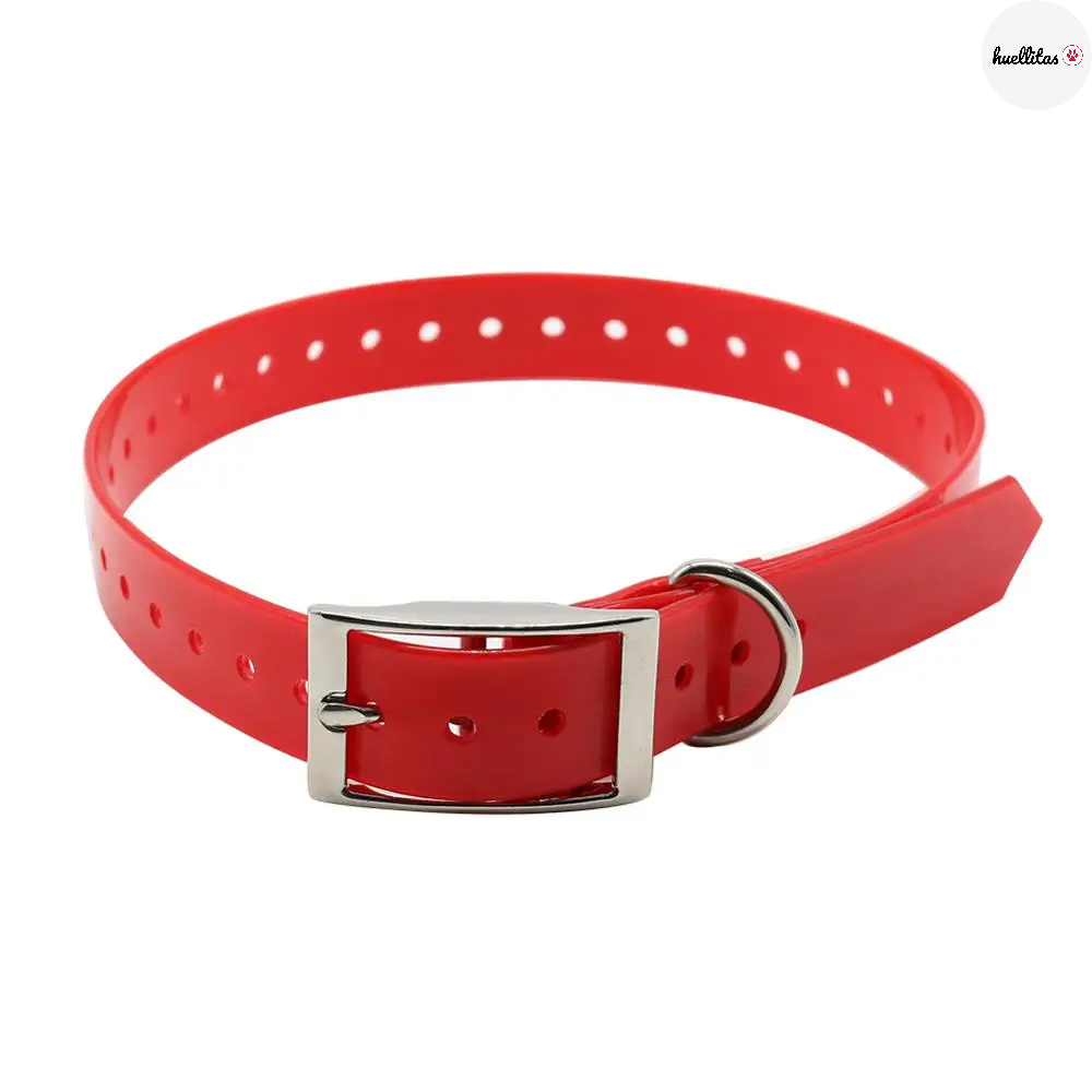 Collar para perro