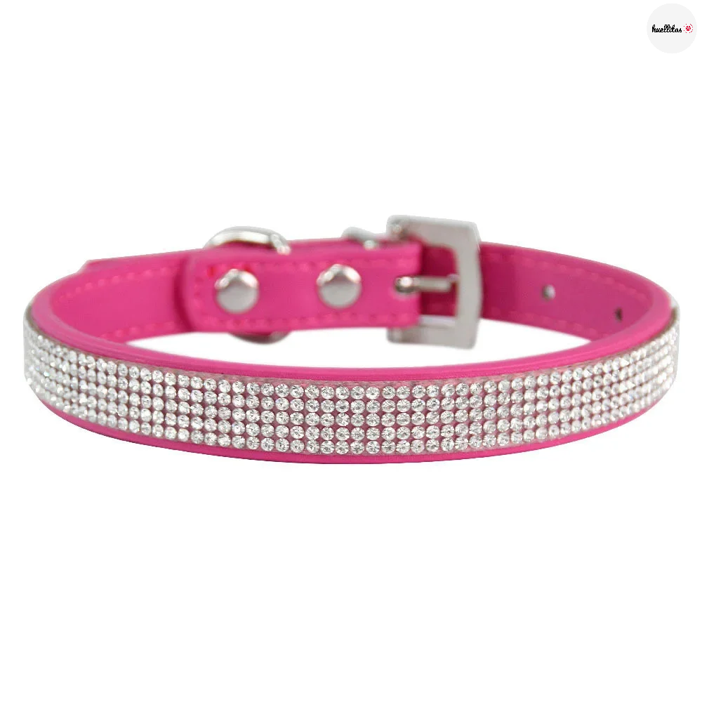 Collar para perros