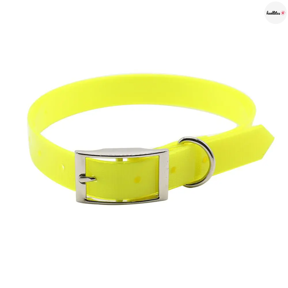 Collar para perro