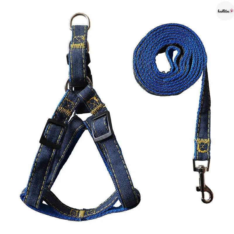 Conjunto de arnés de cuello de perro