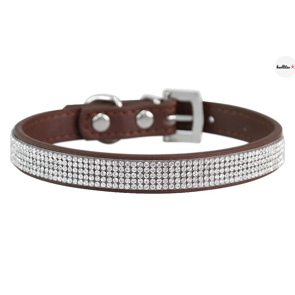 Collar para perros