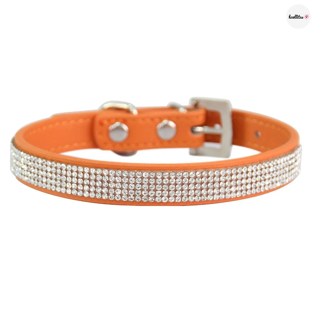 Collar para perros