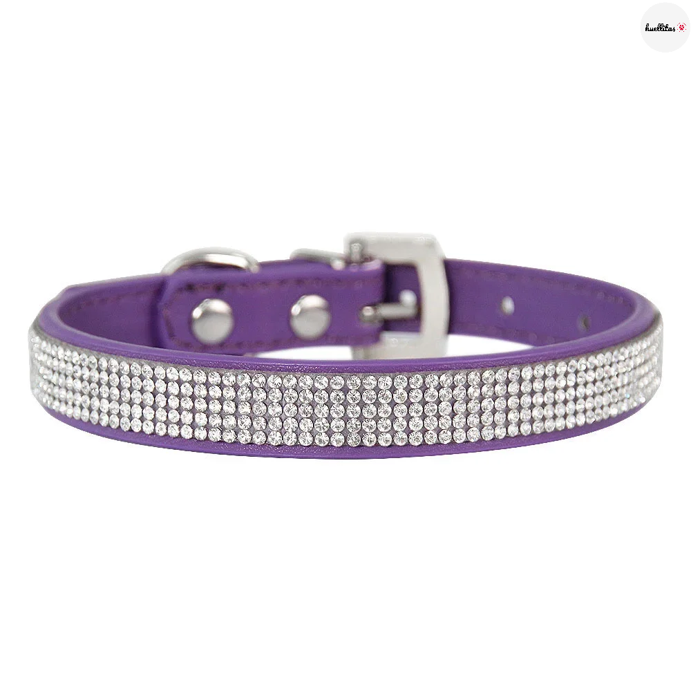 Collar para perros