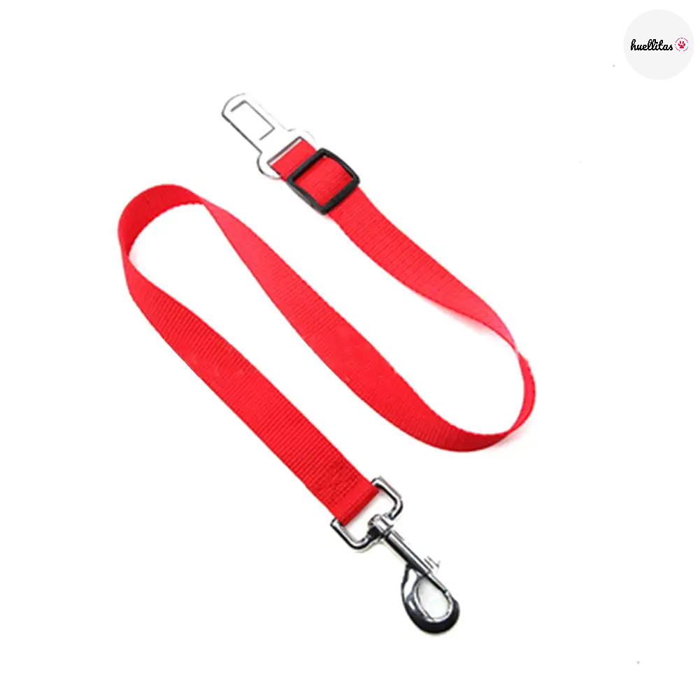 Arnés para mascotas