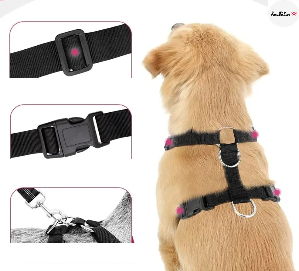 Conjunto de cinturón de seguridad