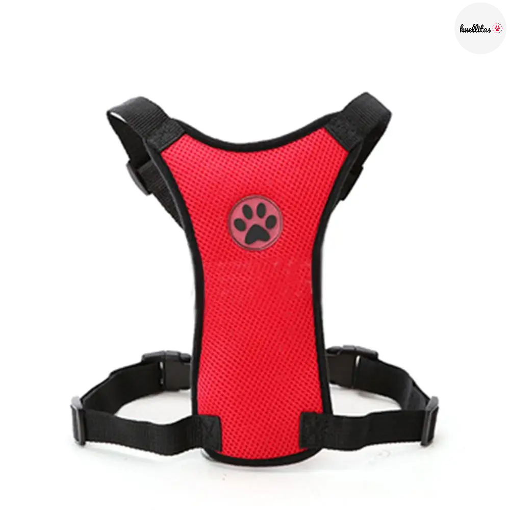 Arnés para mascotas