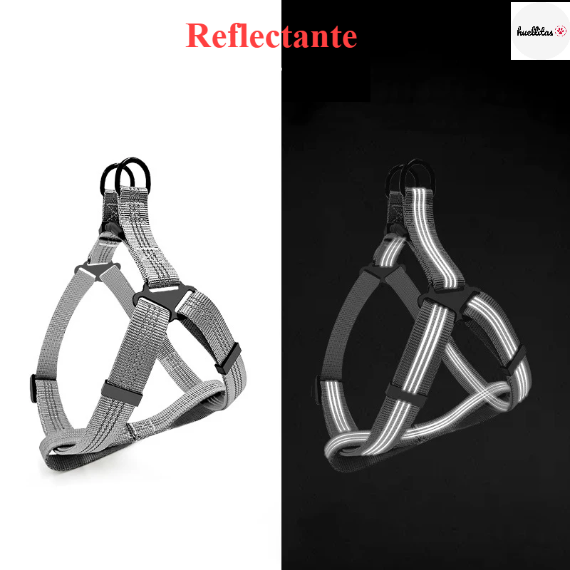 Arnés reflectante