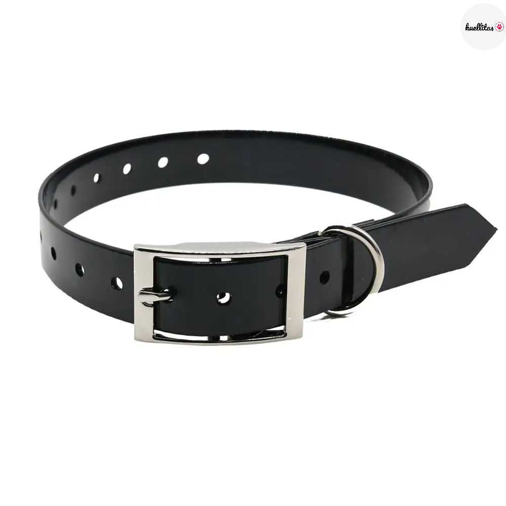 Collar para perro