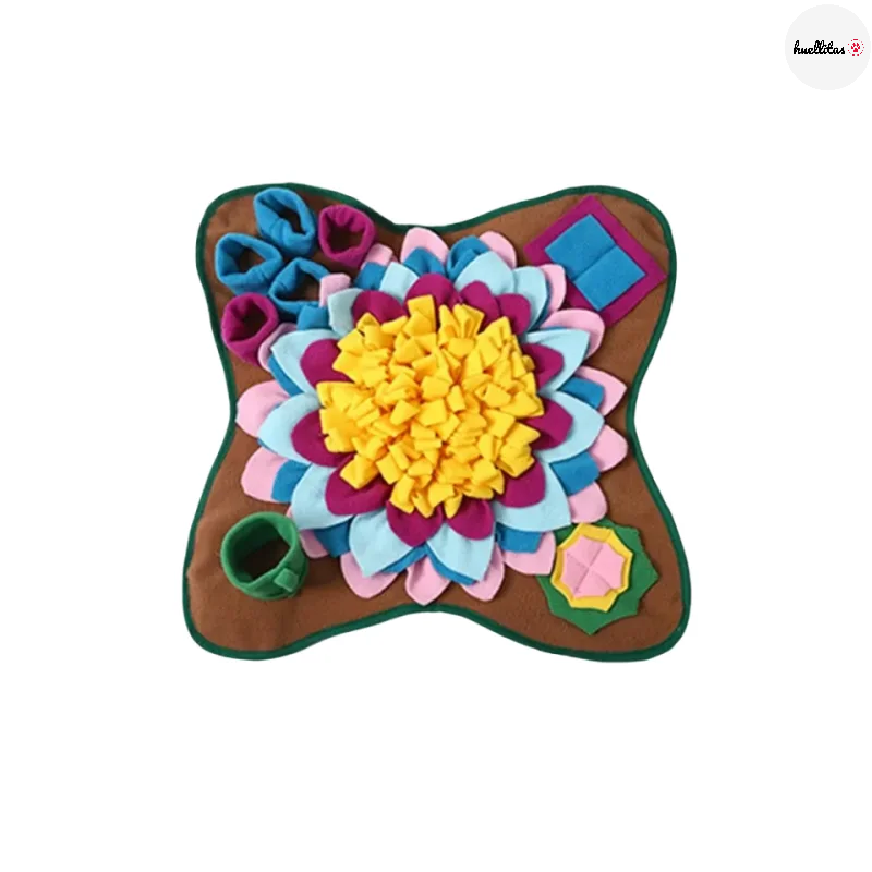 Estera de entrenamiento