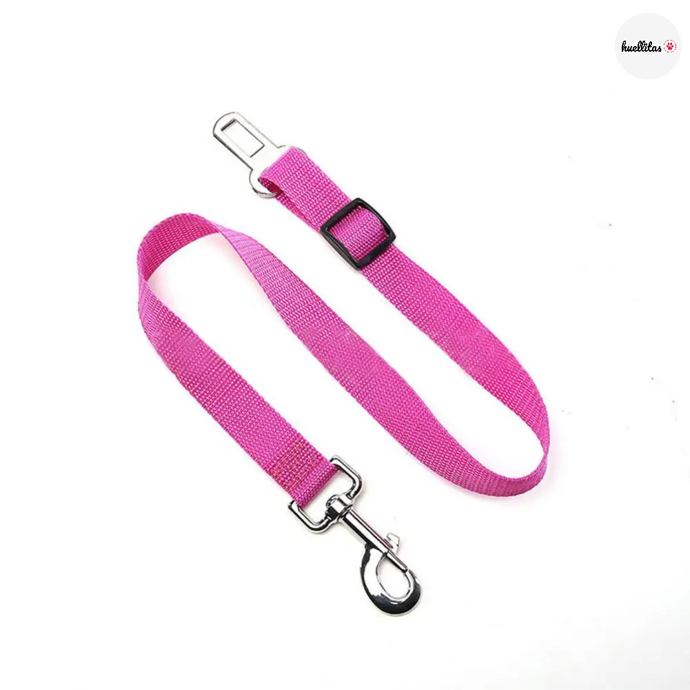 Arnés para mascotas