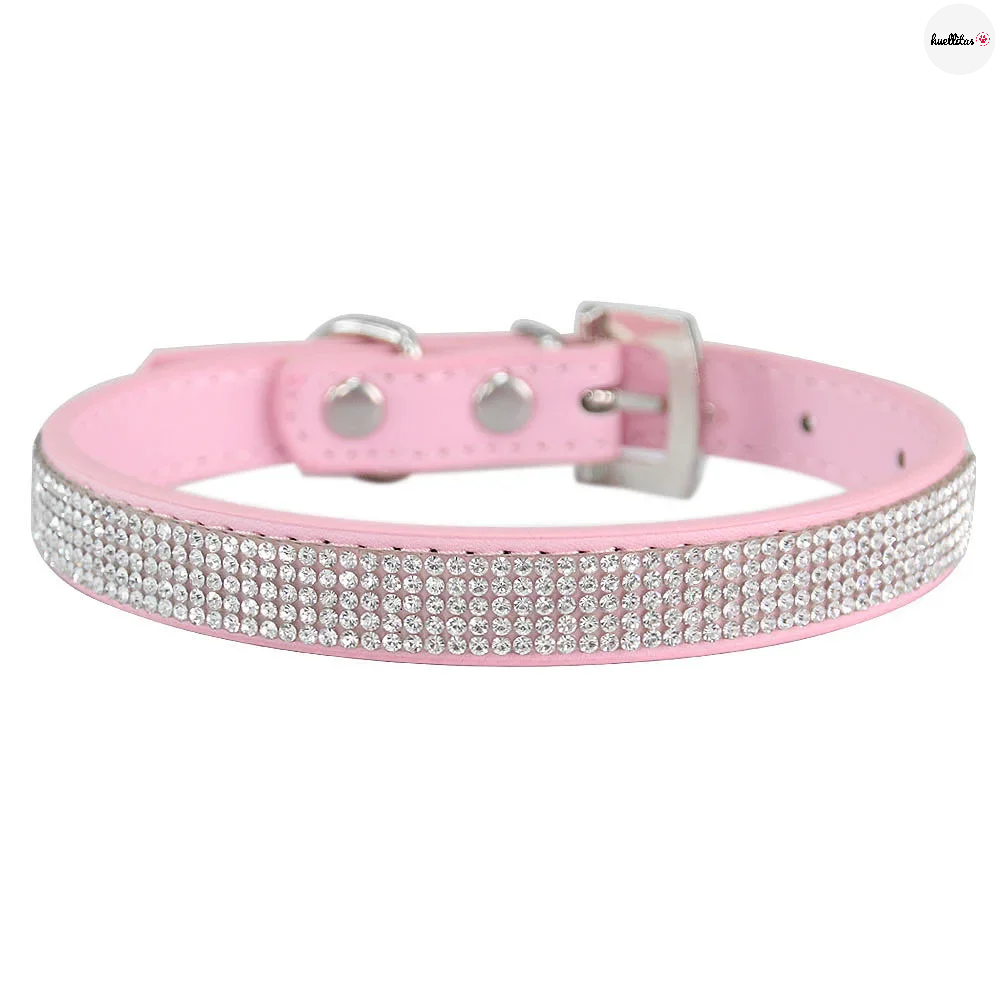 Collar para perros