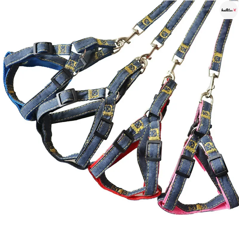 Conjunto de arnés de cuello de perro