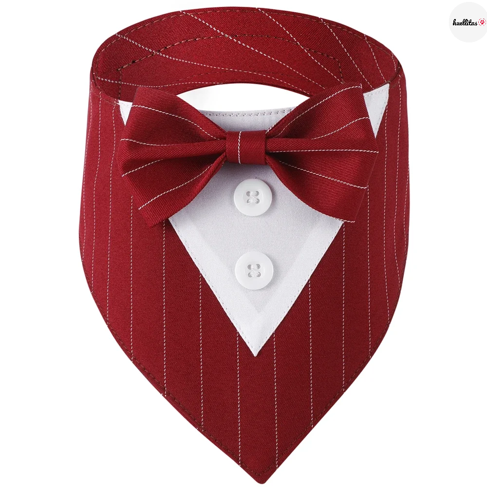 Bufanda triangular con pajarita accesorios de aseo