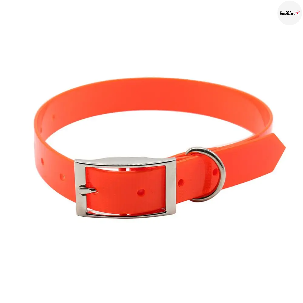 Collar para perro